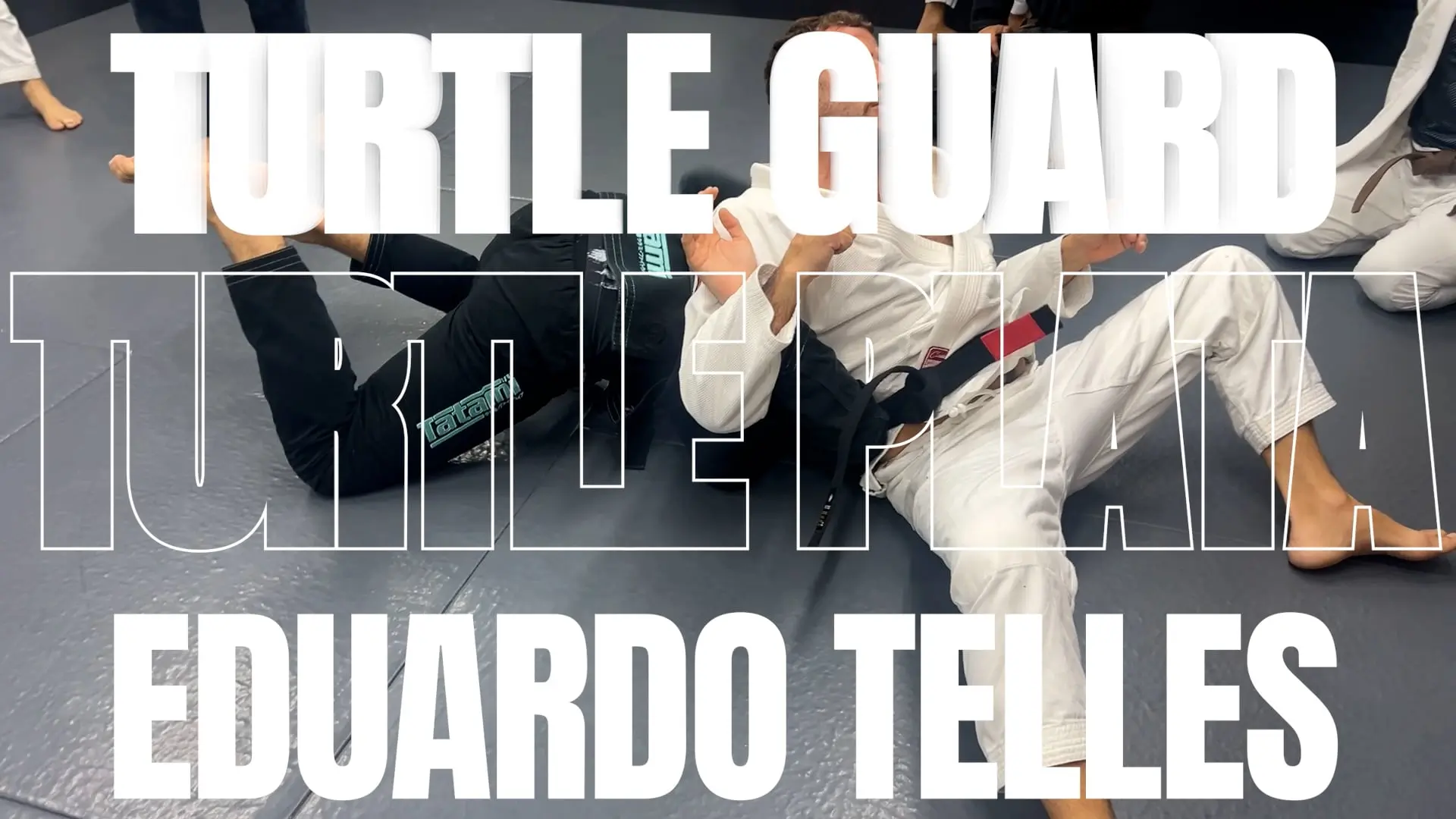 TURTLE PLATA/EDUARDO TELLES