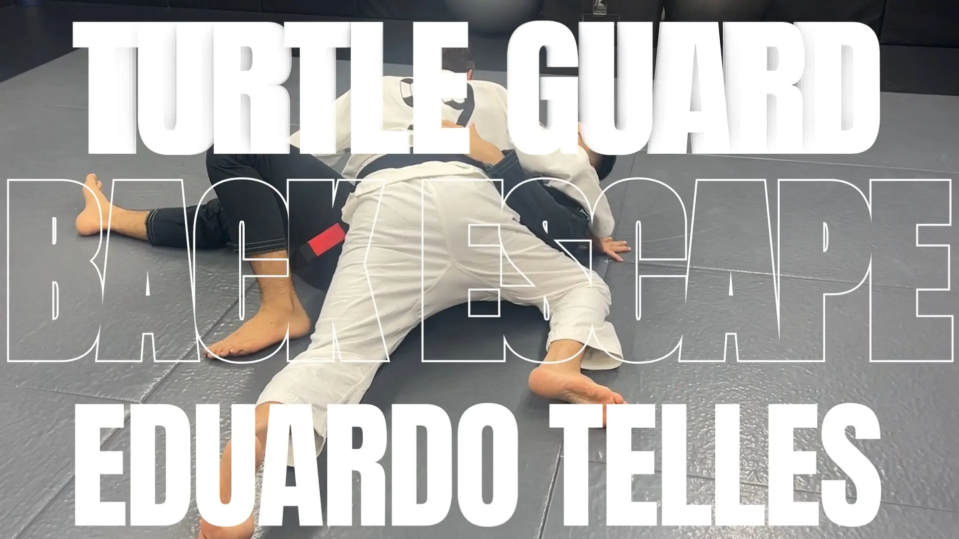 TURTLE GUARD BACK ESCAPE/EDUARDO TELLES