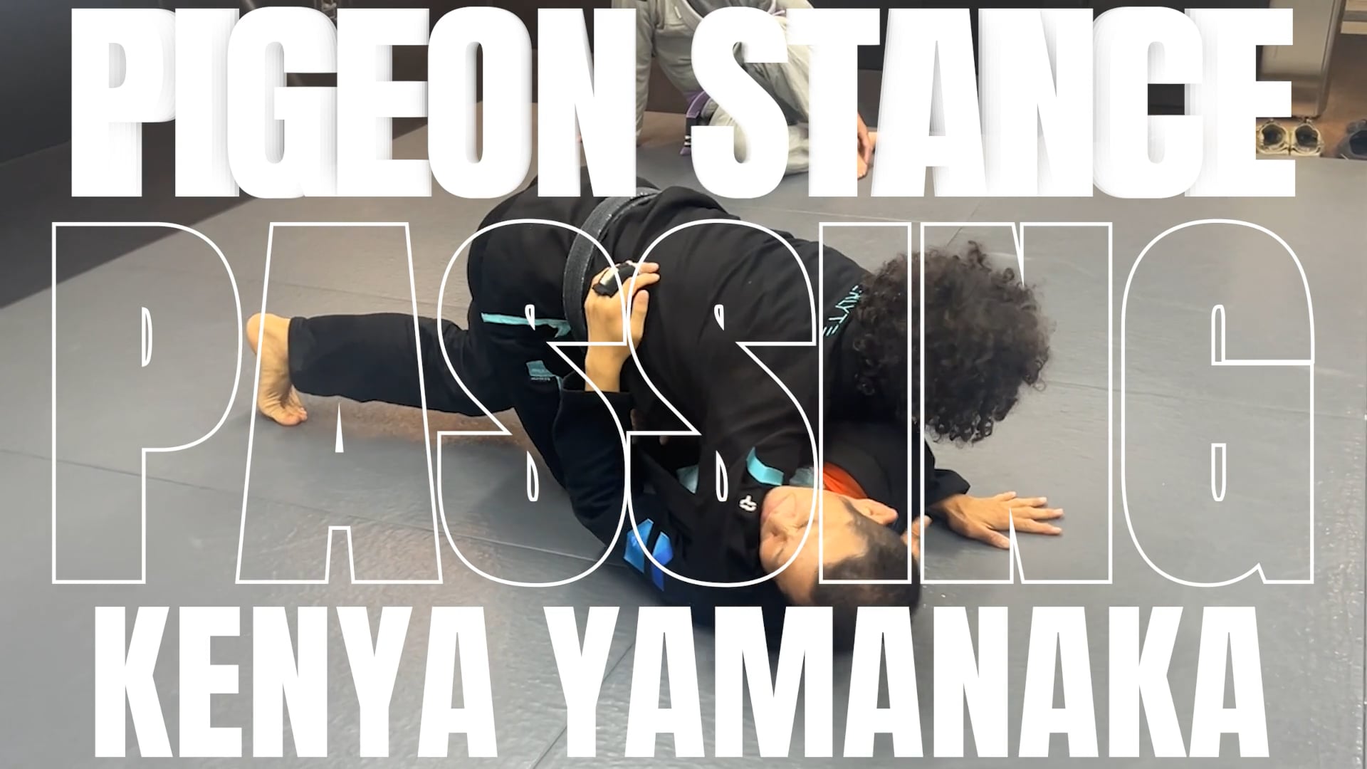 PIGEON STANCE PASSING/KENYA YAMANAKA