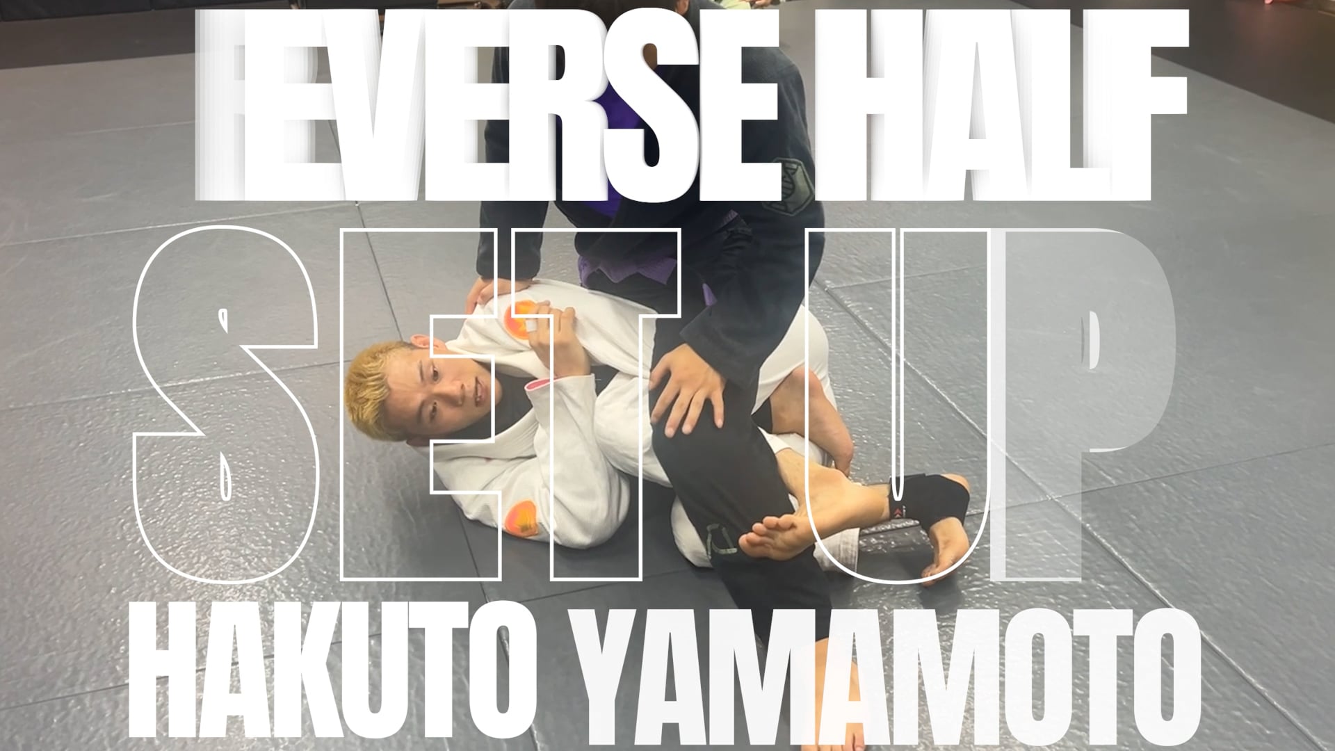 REVERSE HALF GUARD SET UP/HAKUTO YAMAMOTO