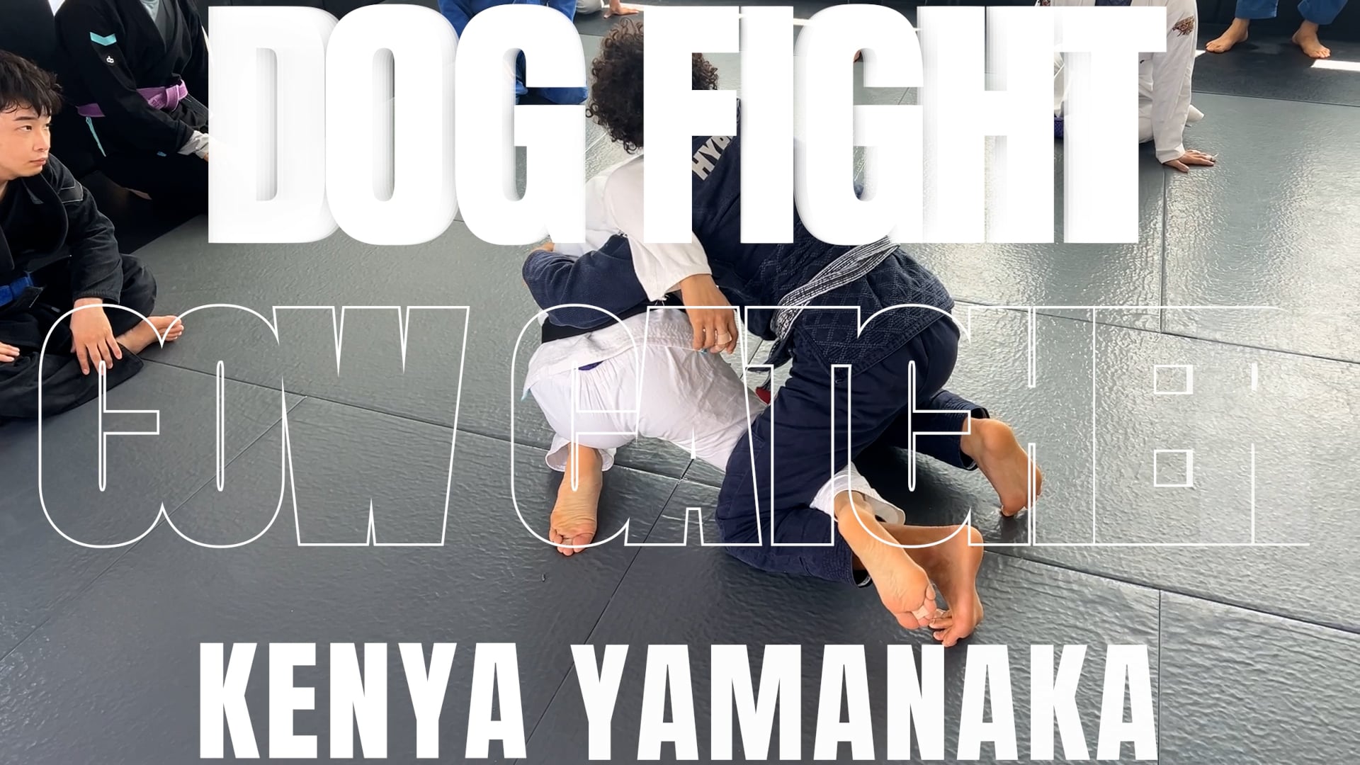 COW CATCHER FROM DOG FIGHT POSITION/KENYA YAMANAKA