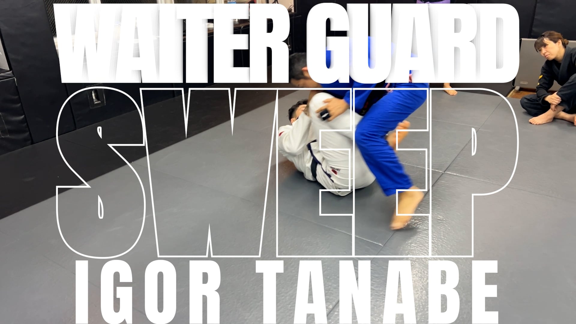 FREE STREAMING WAITER GUARD SWEEP/IGOR TANABE