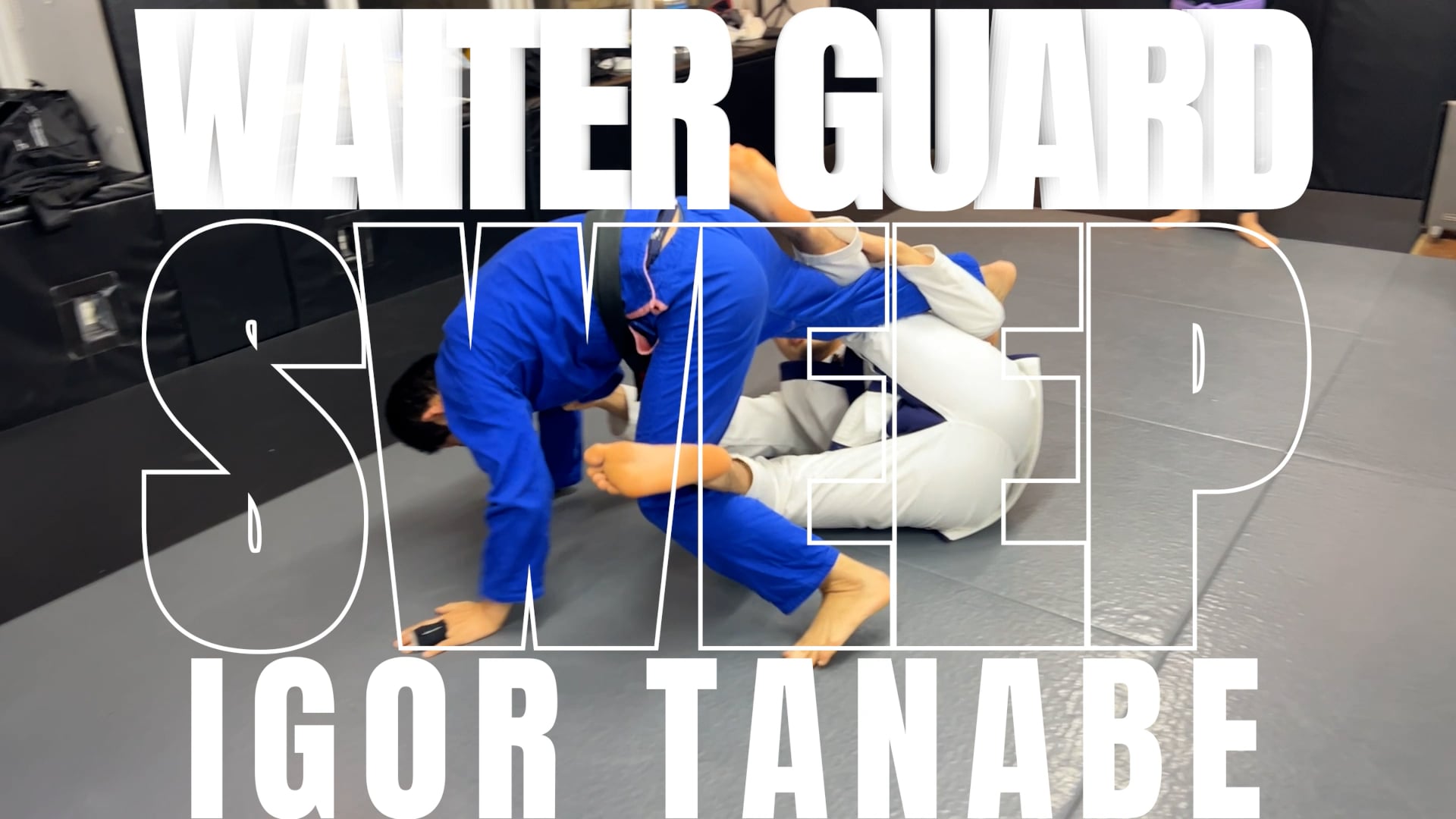 WAITER GUARD SWEEP/IGOR TANABE