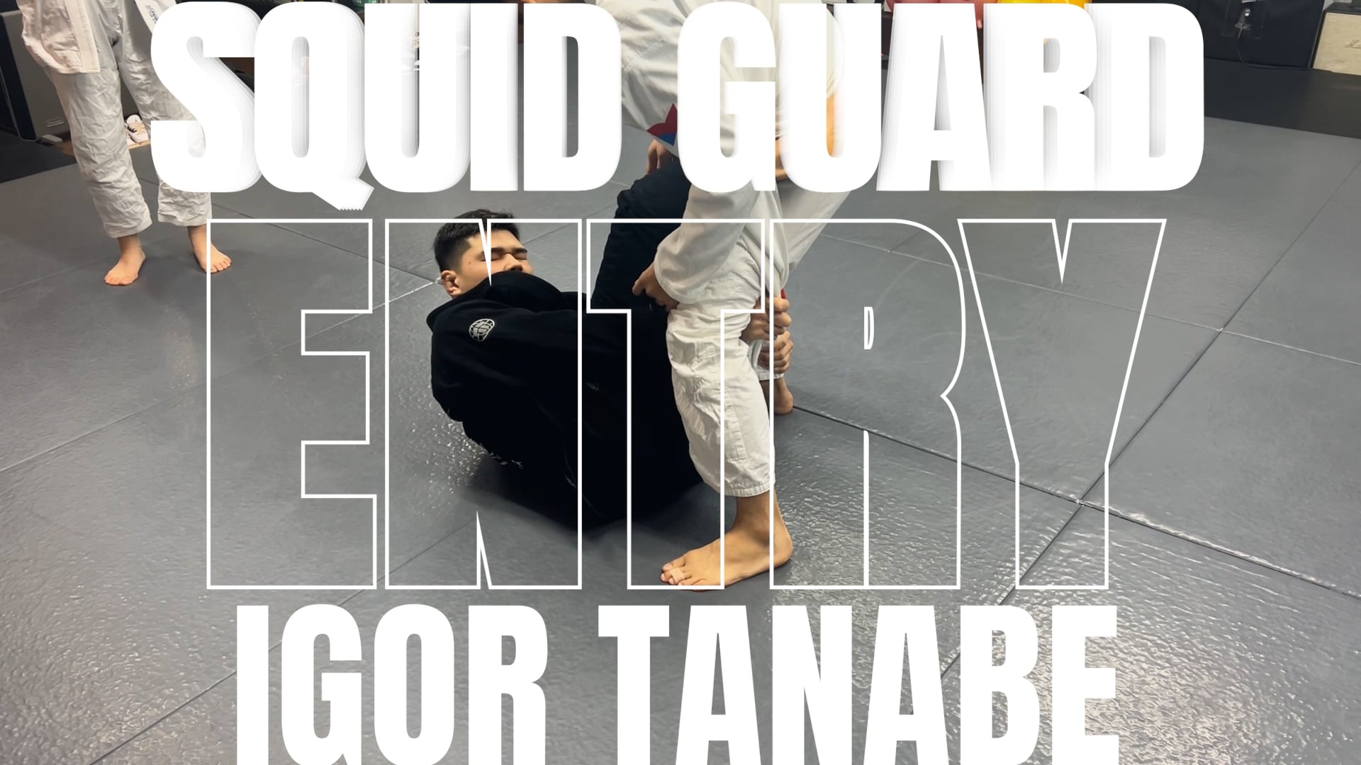 FREE STREAMING SQUID GUARD ENTRY/IGOR TANABE