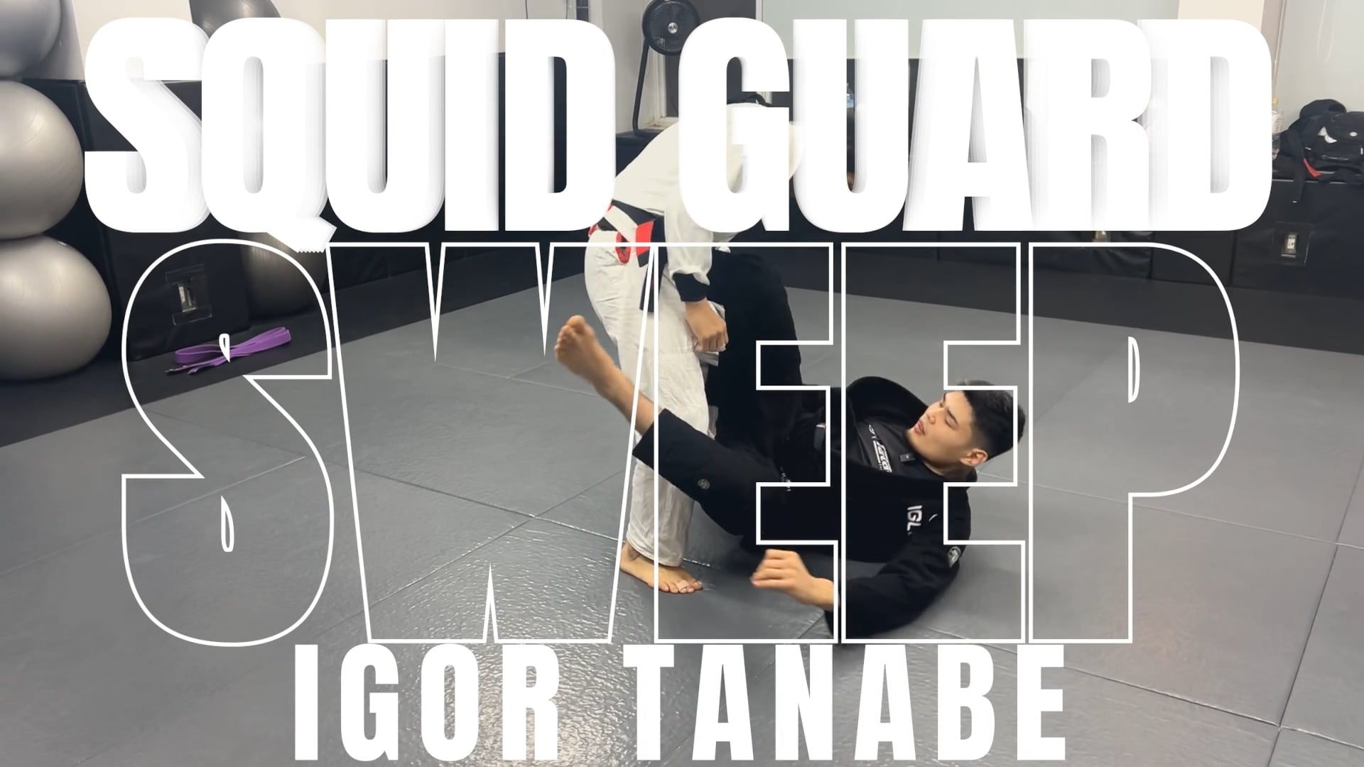 SQUID GUARD SWEEP/IGOR TANABE