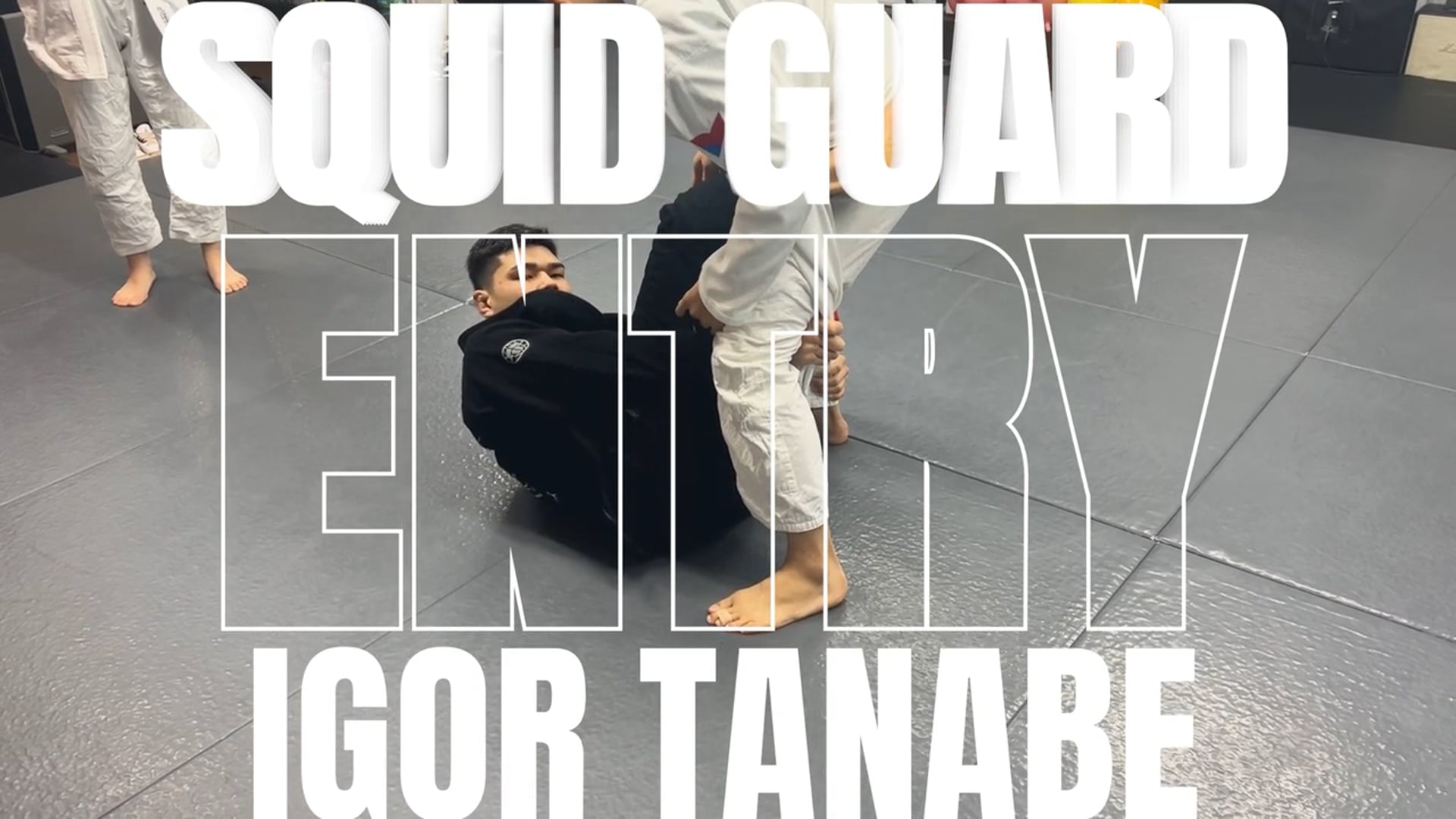 SQUID GUARD ENTRY　note/IGOR TANABE