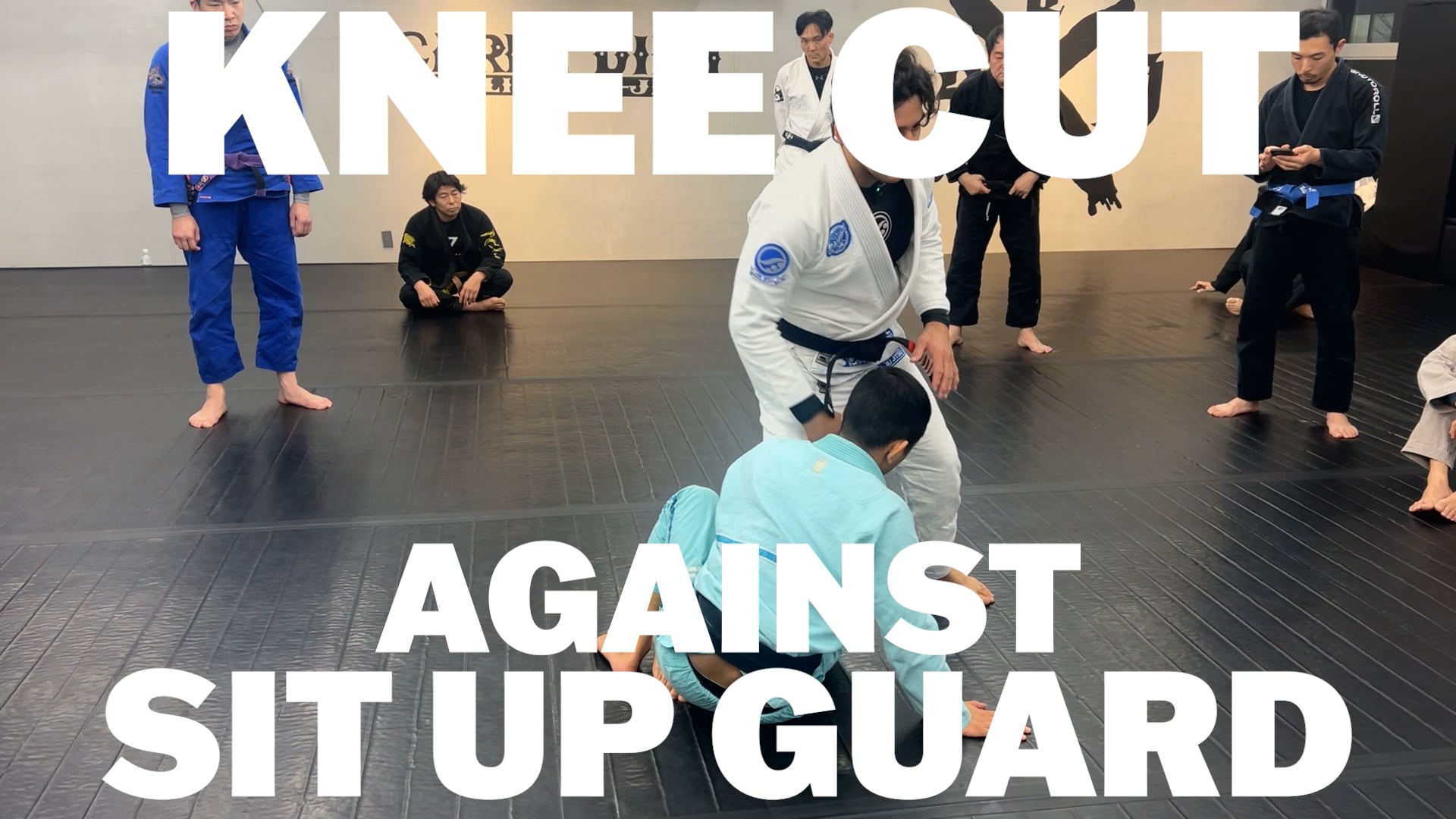 KNEE CUT PASSING AGAINST SIT UP GUARD/LUCAS LEPRI(字幕)