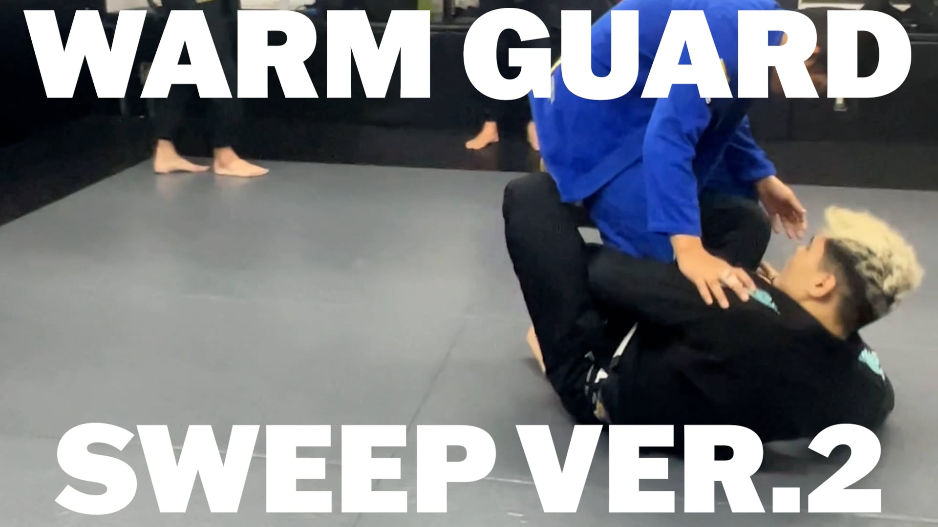 WORM GUARD SWEEP VER.2/IGOR TANABE