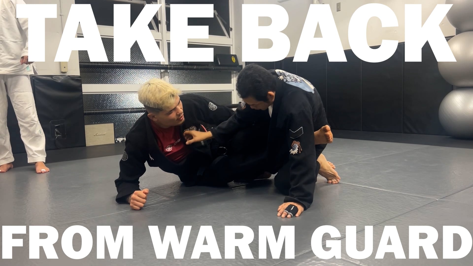 TAKE BACK FROM WORM GUARD/IGOR TANABE