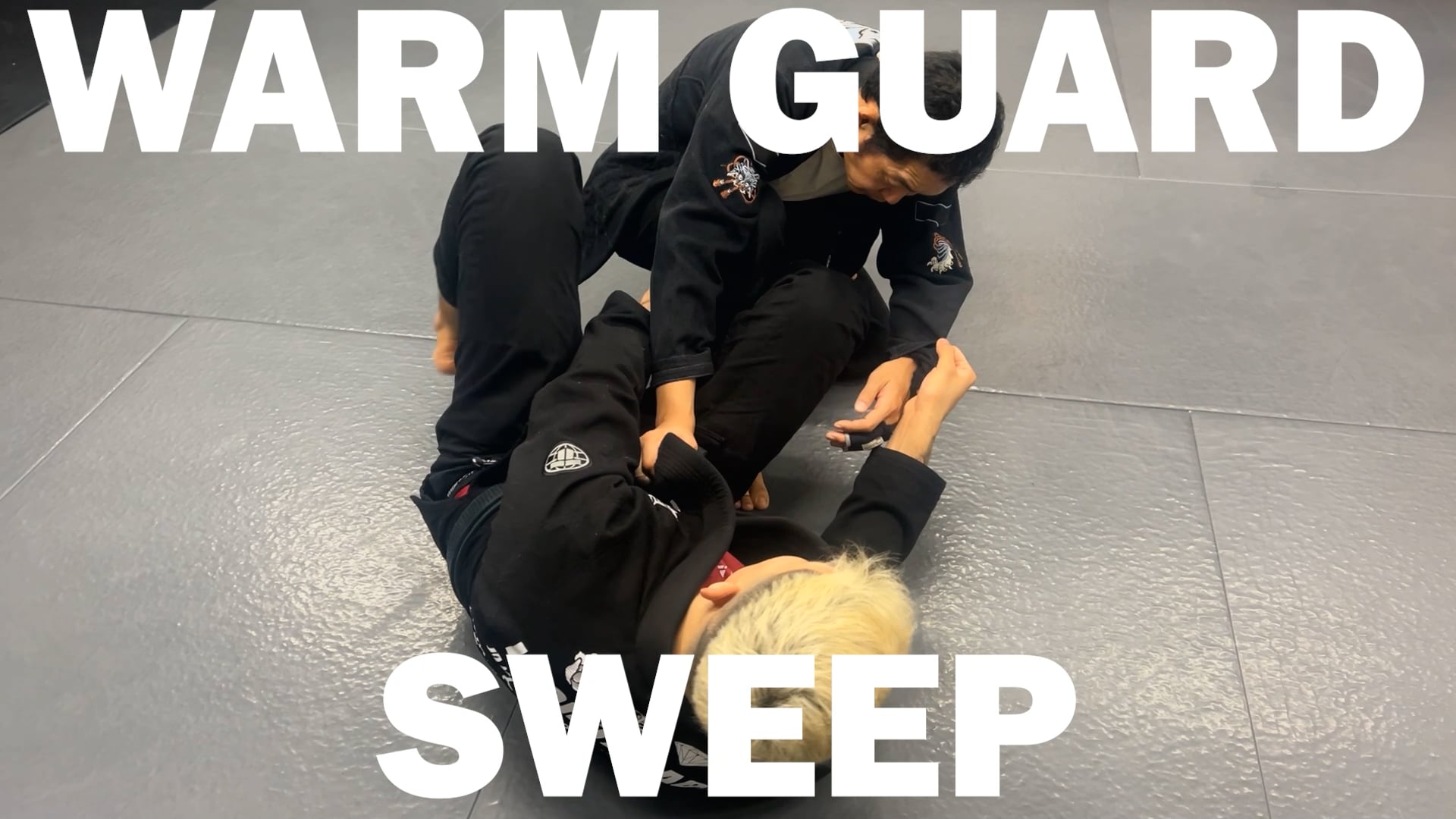 WORM GUARD SWEEP/IGOR TANABE