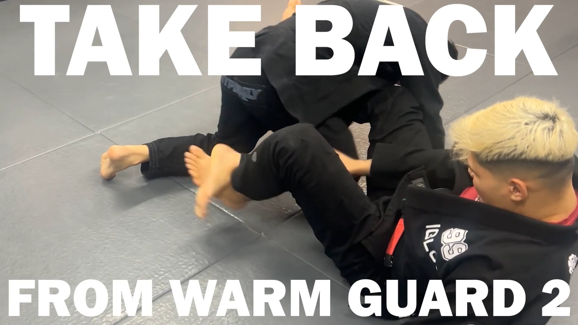 TAKE BACK FROM WORM GUARD VER.2/IGOR TANABE