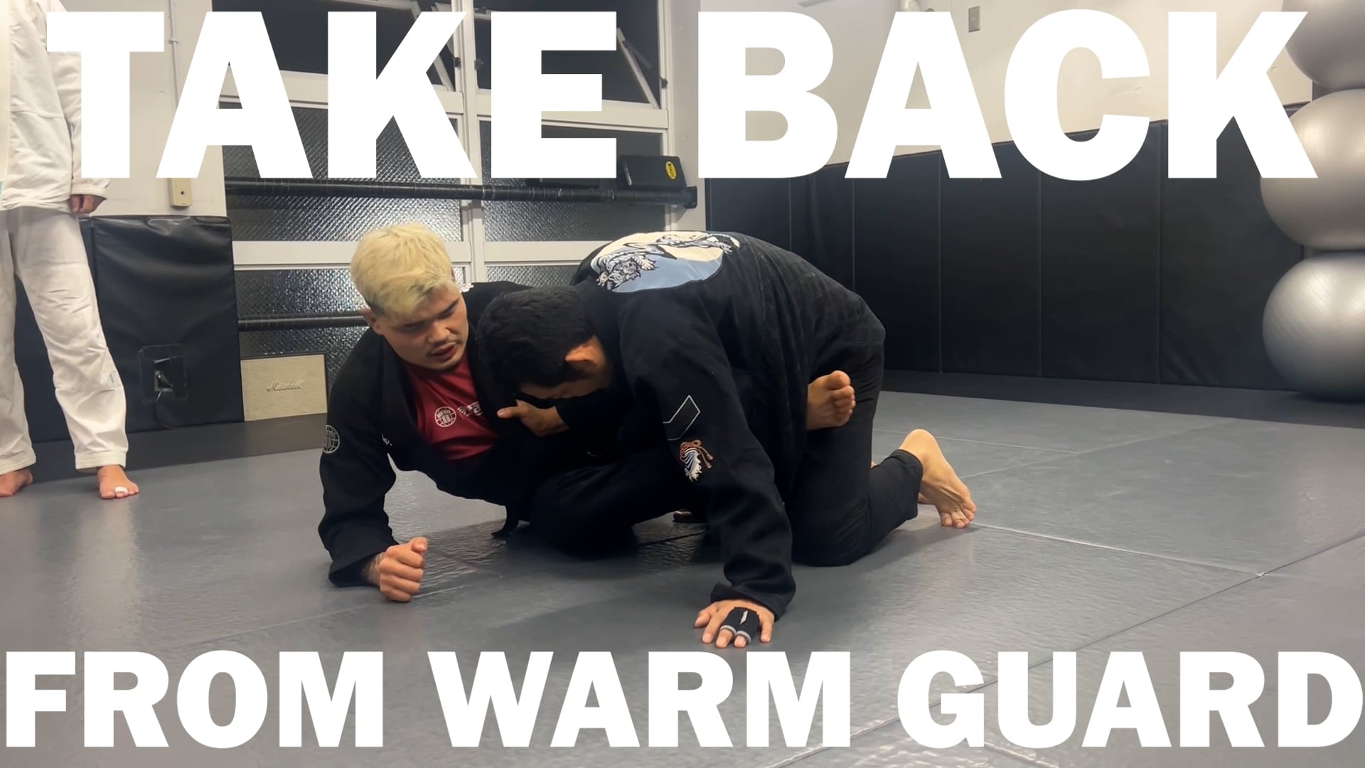 TAKE BACK FROM WORM GUARD/IGOR TANABE