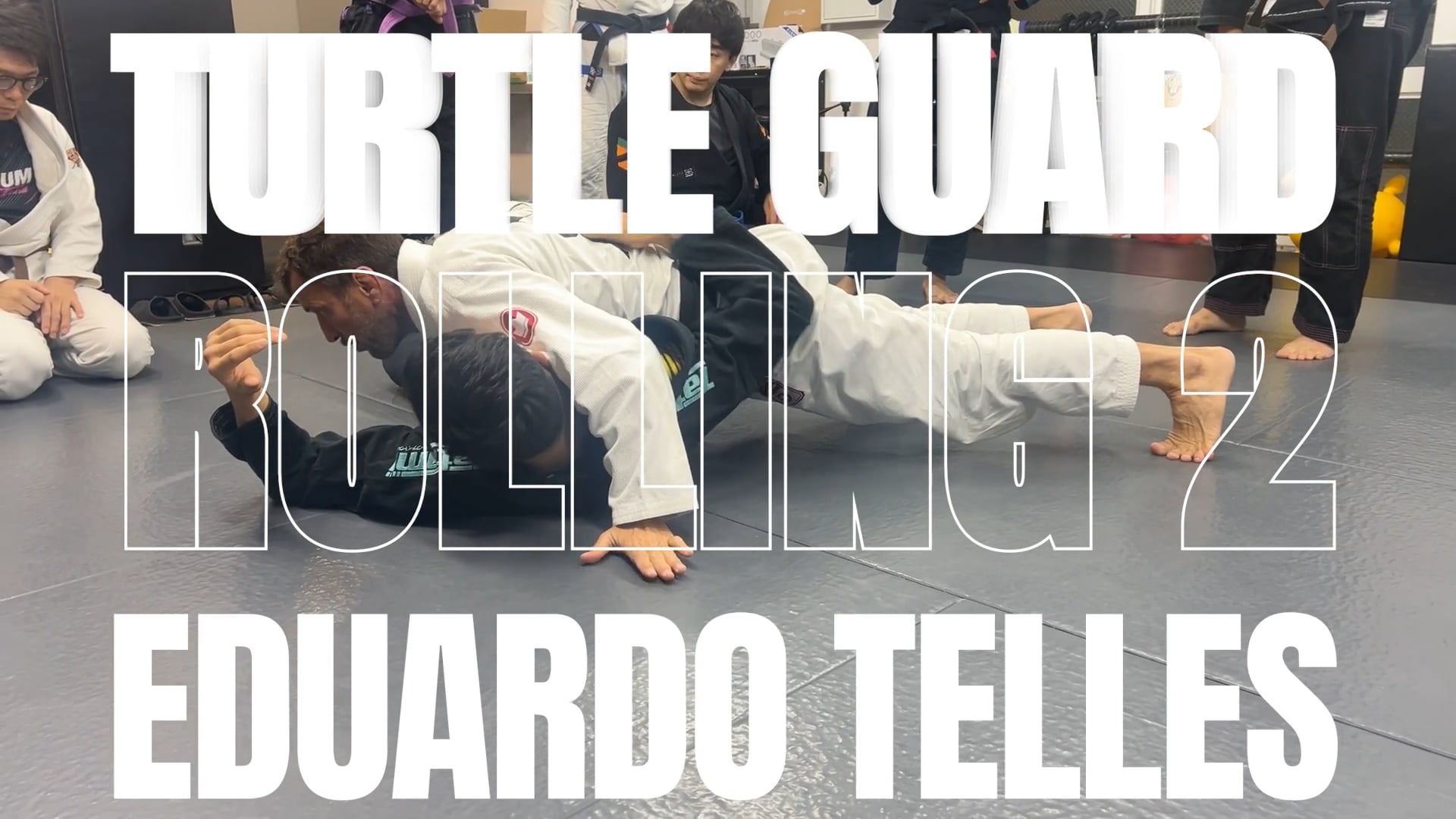 TURTLE GUARD ROLLING VER.2/EDUARDO TELLES