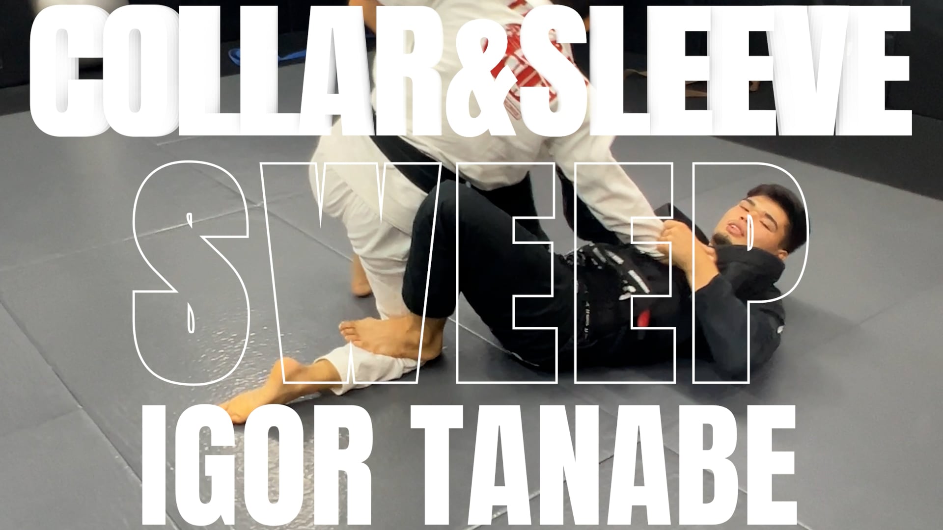 COLLAR&SLEEVE GUARD SWEEP/IGOR TANABE