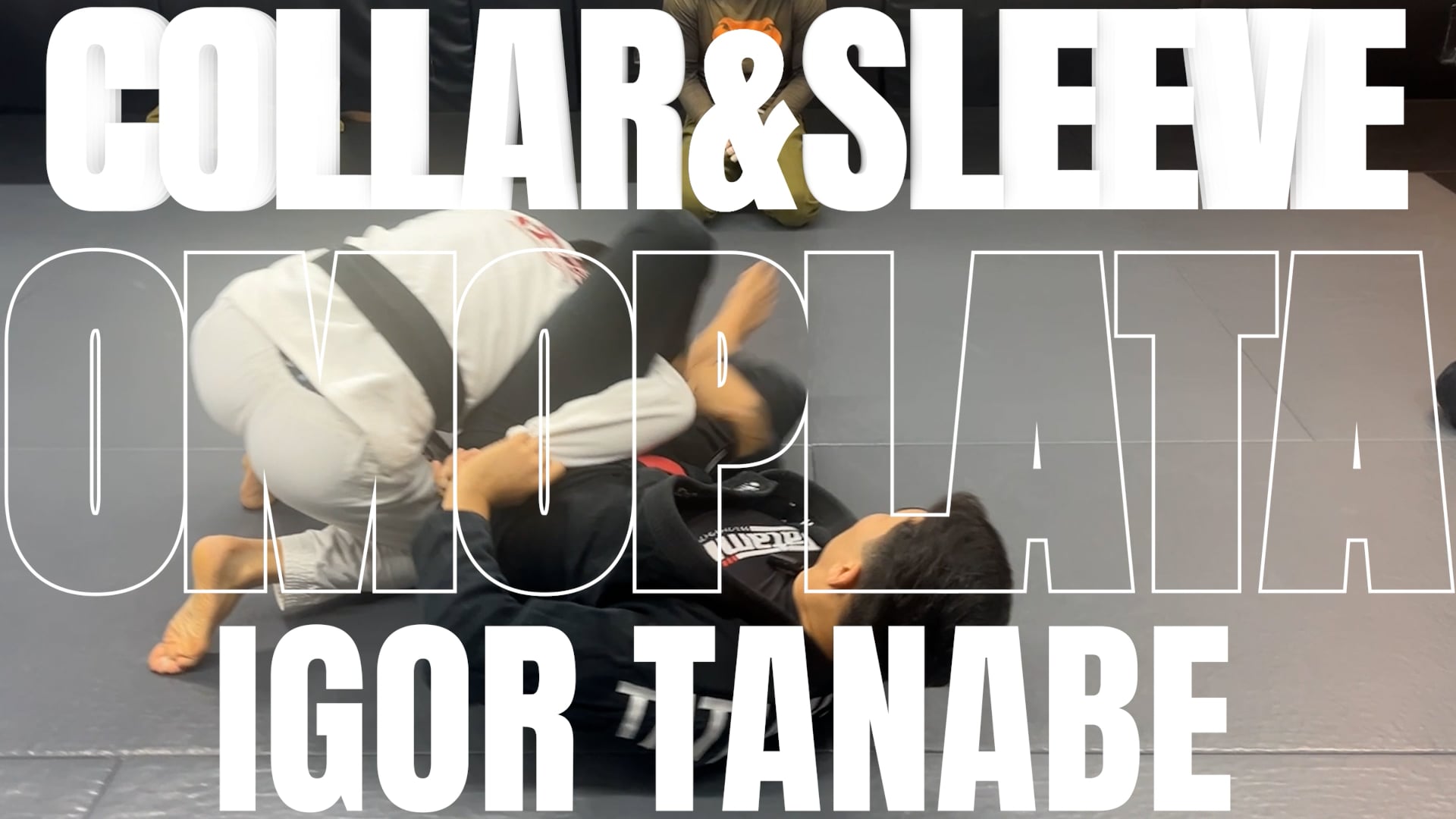 OMOPLATA FROM COLLAR&SLEEVE GUARD/IGOR TANABE