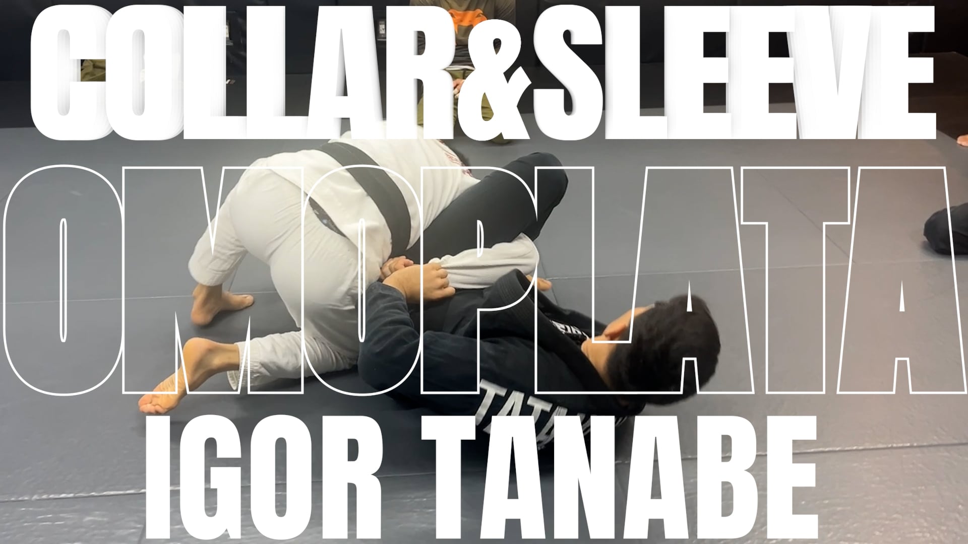 OMOPLATA FROM COLLAR &SLEEVE GUARD/IGOR TANABE