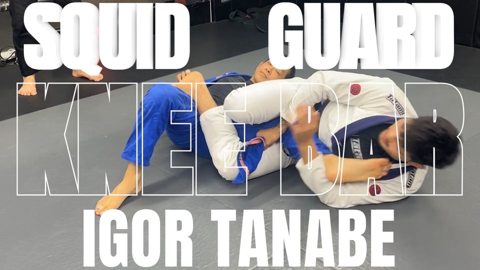 KNEE BAR FROM SQUID GUARD/IGOR TANABE