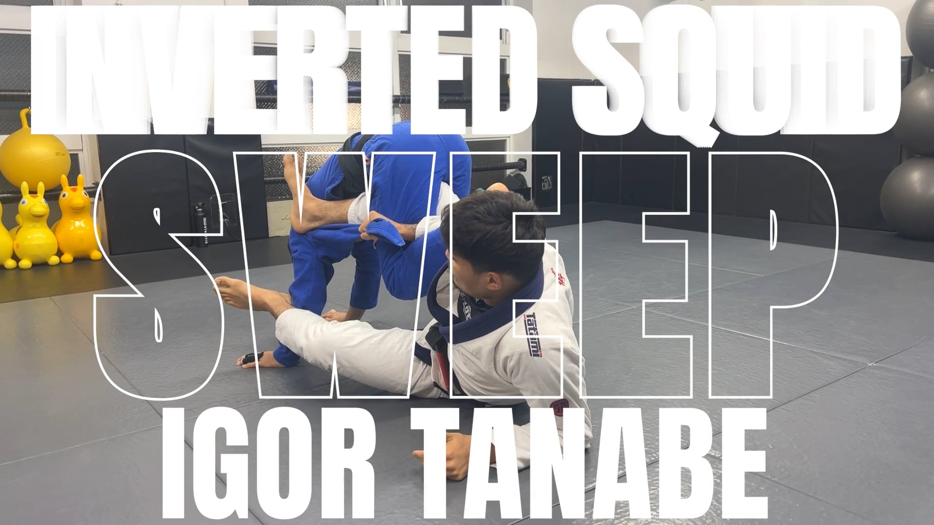 INVERTED SQUID GUARD SWEEP/IGOR TANABE