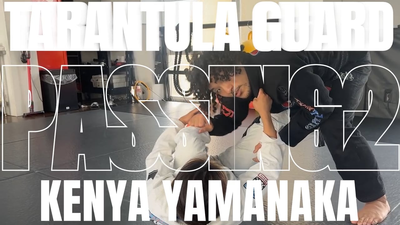 リクエスト:山中健也/TARANTULA GUARD PASSING VER.2をアップし…