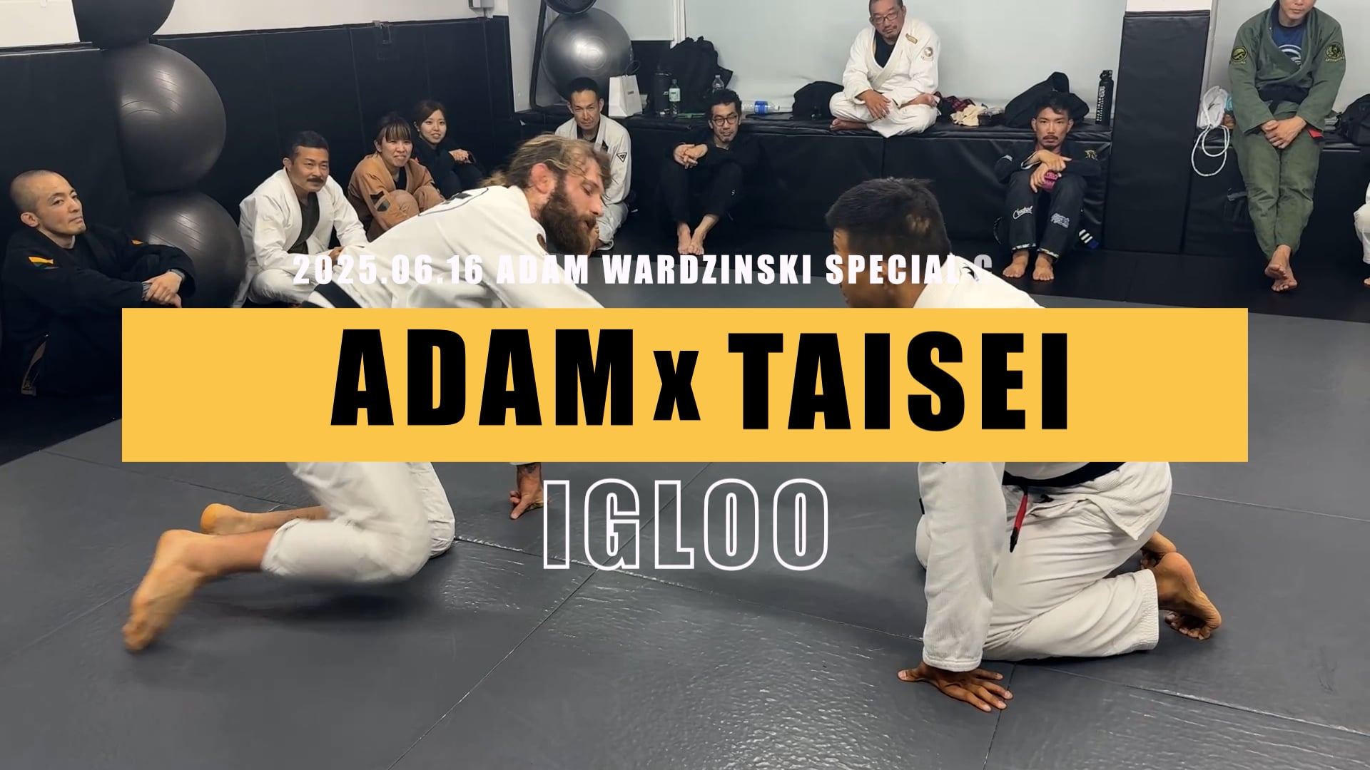 ADAM WARDZINSKIxTAISEI TANAKA
