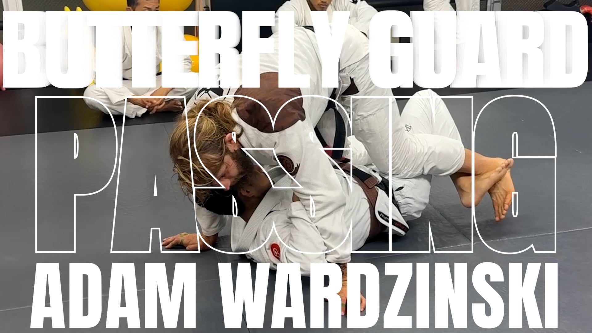 BUTTERFLY GUARD PASSING/ADAM WARDZINSKI