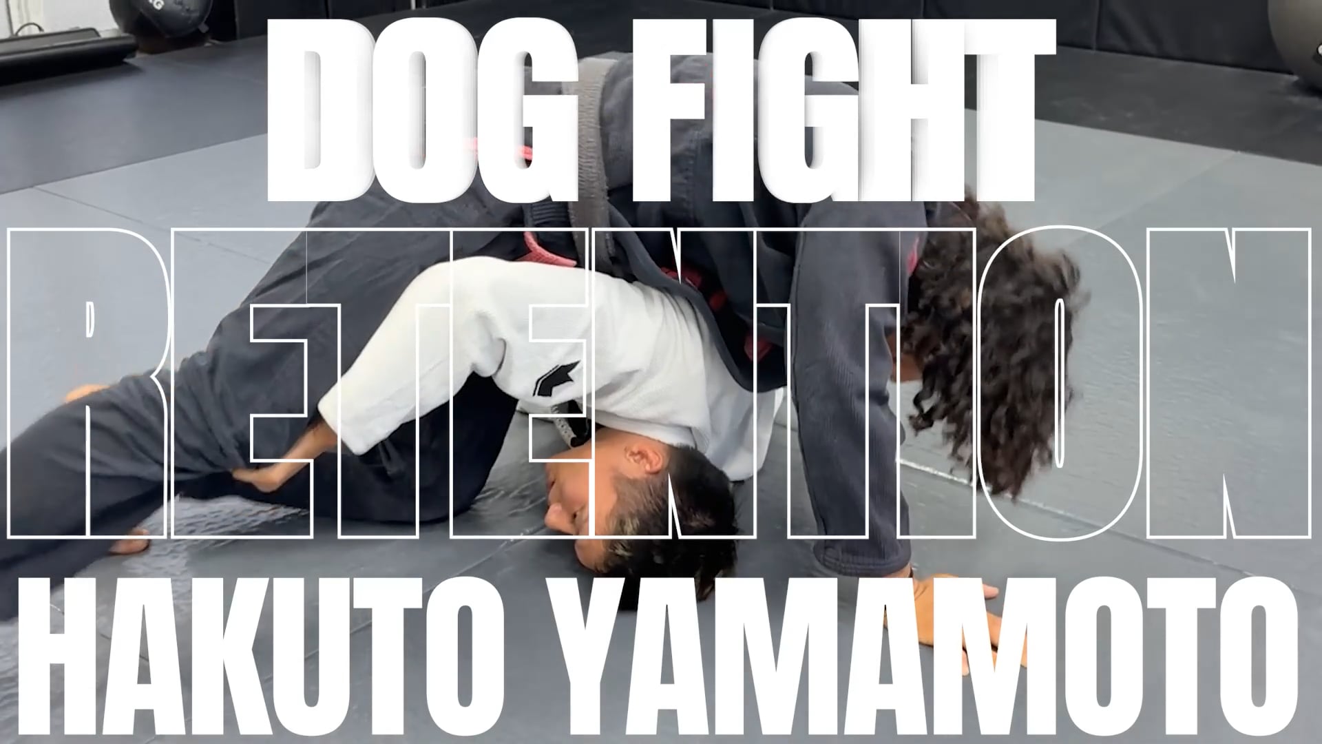 DOG FIGHT RETENTION/HAKUTO YAMAMOTO