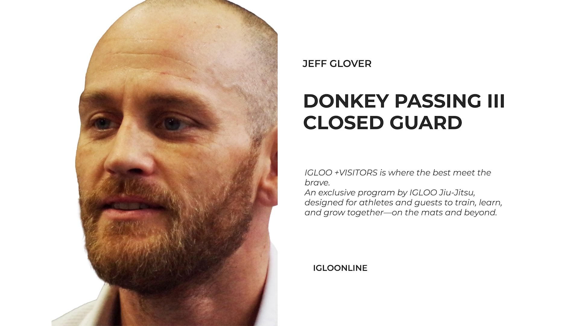 DONKEY PASSING III/JEFF GLOVER