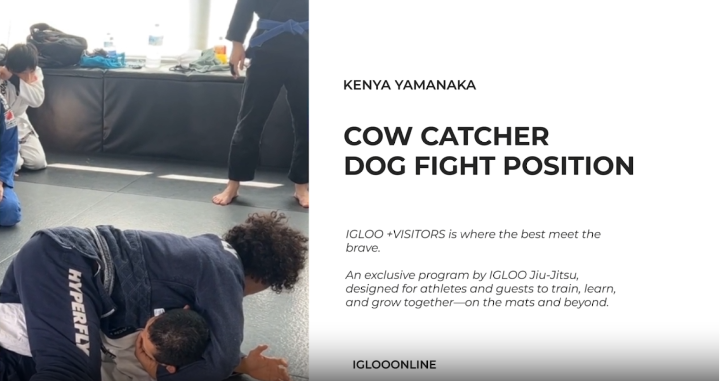 COW CATCHER FROM DOG FIGHT POSITION/KENYA YAMANAKA