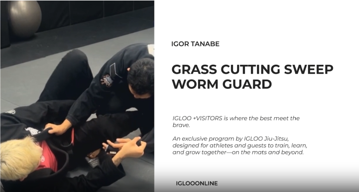 GRASS CUTTING SWEEP FROM WORM GUARD/IGOR TANABE