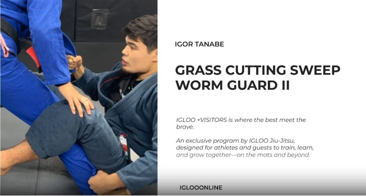 GRASS CUTTING SWEEP FROM WORM GUARD II/IGOR TANABE