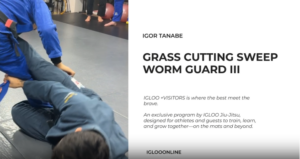 GRASS CUTTING SWEEP FROM WORM GUARD III/IGOR TANABE