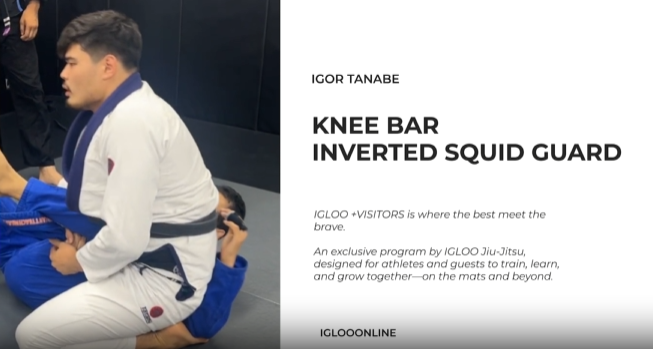 KNEE BAR FROM INVERTED SQUID GUARD/IGOR TANABE