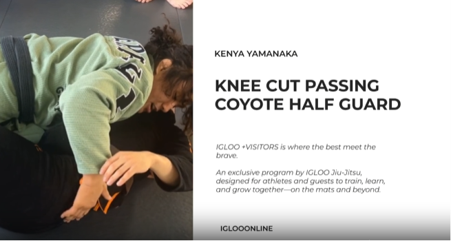 KNEE CUT PASSING AGAINST COYOTE HALF GUARD/KENYA YAMANAKA