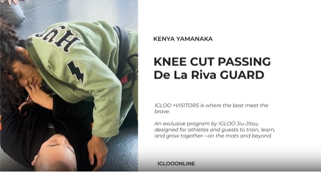 KNEE CUT PASSING AGAINST De La Riva GUARD/KENYA YAMANAKA