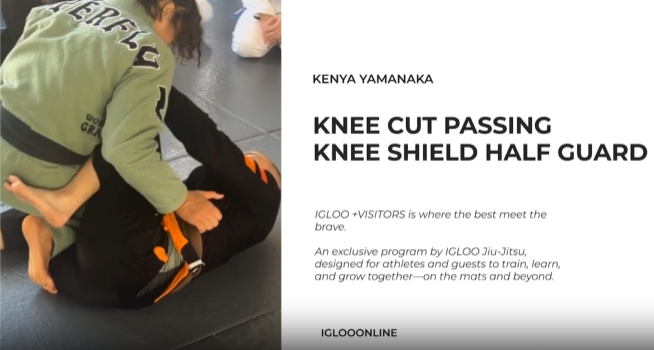 KNEE CUT PASSING AGAINST KNEE SHIELD HALF GUARD/KENYA YAMANAKA