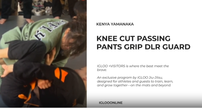 KNEE CUT PASSING AGAINST PANTS GRIP DLR GUARD/KENYA YAMANAKA