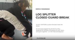 LOG SPLITTER CLOSED GUARD BREAK/KENYA YAMANAKA