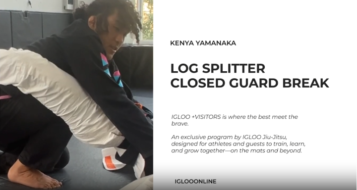 LOG SPLITTER CLOSED GUARD BREAK/KENYA YAMANAKA