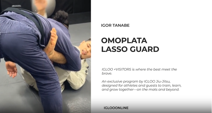 OMOPLATA FROM LASSO GUARD/IGOR TANABE