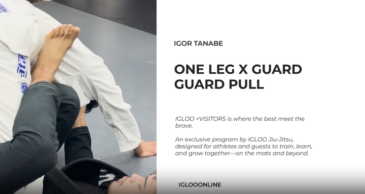 ONE LEG X GUARD PULL FROM De La Riva GUARD /IGOR TANABE