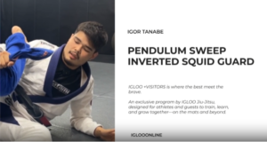 PENDULUM SWEEP FROM INVERTED SQUID GUARD/IGOR TANABE