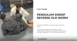 PENDULUM SWEEP FROM REVERSE DE LA WORM/IGOR TANABE