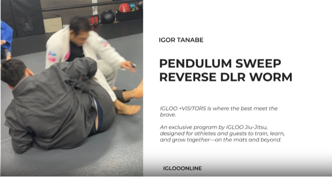 PENDULUM SWEEP FROM REVERSE DE LA WORM/IGOR TANABE
