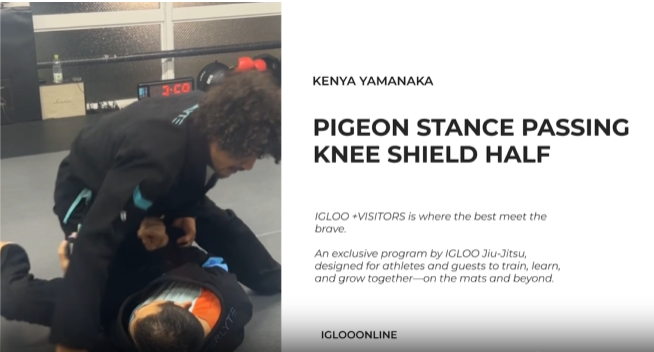 PIGEON STANCE PASSING AGAINST KNEE SHEILD HALF/KENYA YAMANAKA
