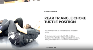 REAR TRIANGLE CHOKE AGAINST TURTLE POSITION/KANAE YAMADA