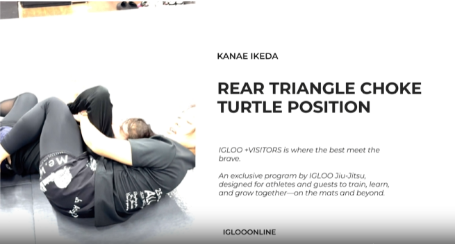 REAR TRIANGLE CHOKE AGAINST TURTLE POSITION/KANAE YAMADA