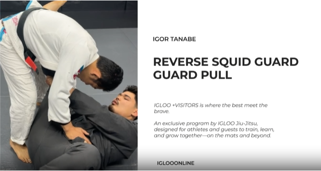 REVERSE SQUID GUARD PULL/IGOR TANABE