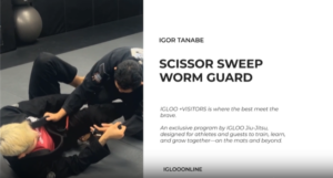 SCISSORS SWEEP FROM WORM GUARD/IGOR TANABE