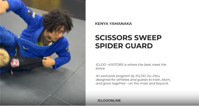 SCISSORS SWEEP FROM SPIDER GUARD/KENYA YAMANAKA