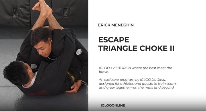 ESCAPE FROM TRIANGLE CHOKE II/ERICK MENEGHIN